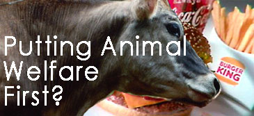 Burger King animal welfare