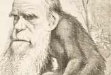 Darwin