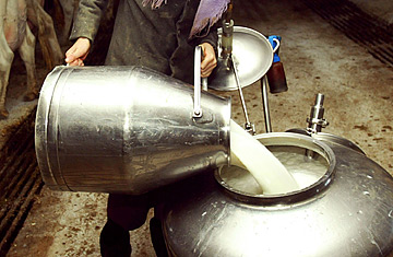fresh milk
