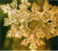 water crystal