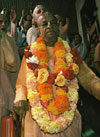 Srila Prabhupada