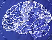 brain