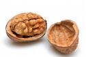 nut shell